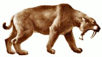 Free saber-toothed-tiger Clipart - Free Clipart Graphics, Images and ...